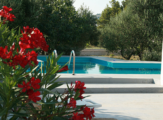 Pool Villa Petra
